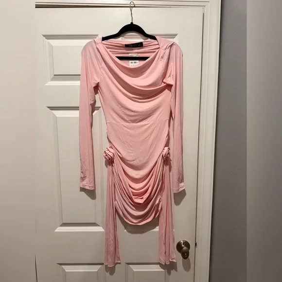 Lioness Long-Sleeve Blush Dress - Picture 8 of 13